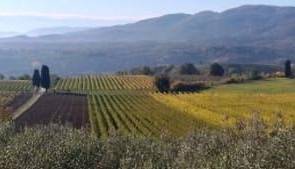 Evento Visite a fattoria e villa storica “Il Frassine” Il Frassine Farm & Farmhouse