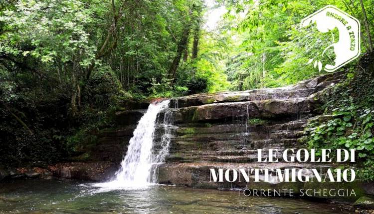 Evento Le gole di Montemignaio: escursione Guidata sul torrente Scheggia Andare a Zonzo Trekking ed Escursioni