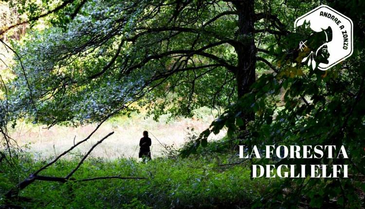 Evento Escursione guidata nella Foresta degli Elfi Andare a Zonzo Trekking ed Escursioni