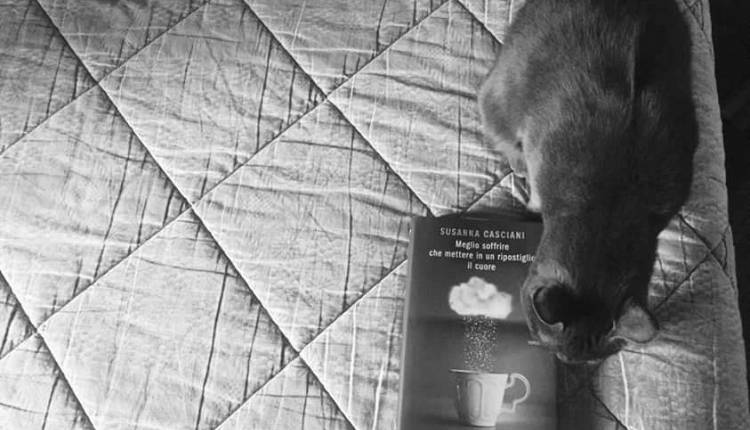 Evento Meglio soffrire che mettere in un ripostiglio il cuore IBS Bookshop