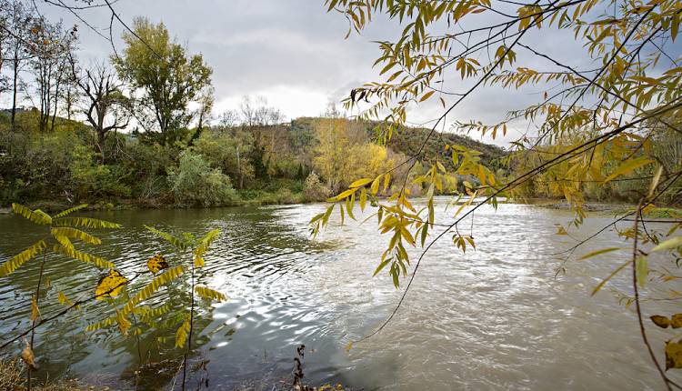 Evento Festival del Fiume a Pontassieve Giardino della Docciola