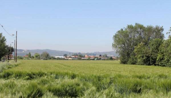 Evento Da Firenze a Lastra a Signa e ritorno seguendo l’Arno Piazza dell'Isolotto