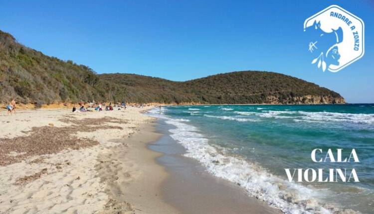 Evento Escursione guidata a Cala Violina Andare a Zonzo Trekking ed Escursioni