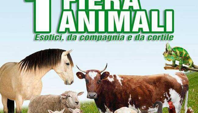 Evento Prima fiera degli animali esotici, da compagnia e da cortile Lastra a Signa