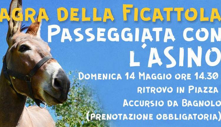 Evento Passeggiata con l'asino Rione Sante Marie