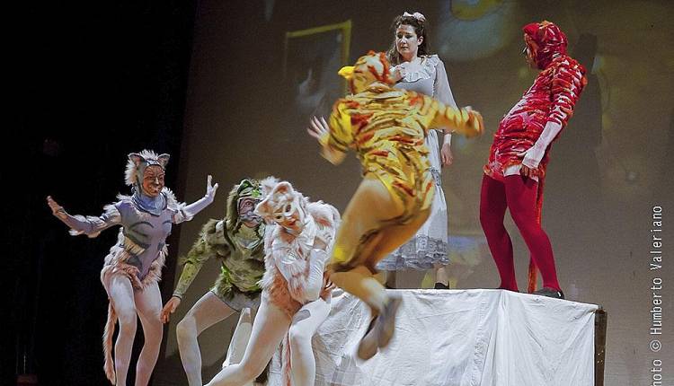 Evento La casa dei gatti Teatro Dante Carlo Monni