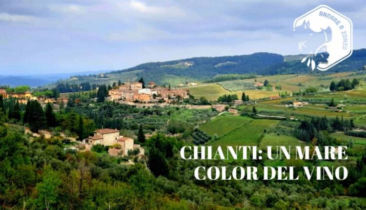 Evento Escursione guidata a Montefioralle Andare a Zonzo Trekking ed Escursioni