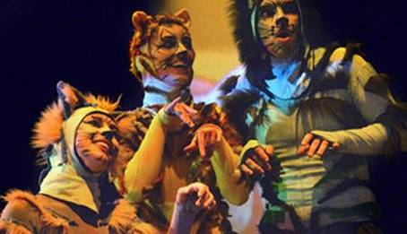 Evento La casa dei gatti Teatro di Rifredi