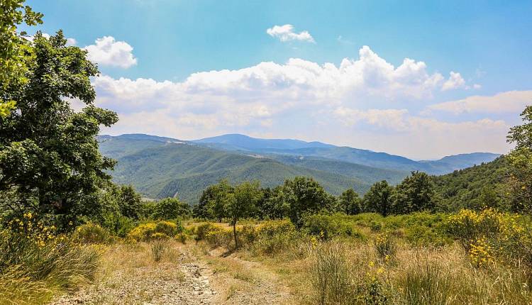 Evento Escursione guidata ai Canaloni del Farma Andare a Zonzo Trekking ed Escursioni