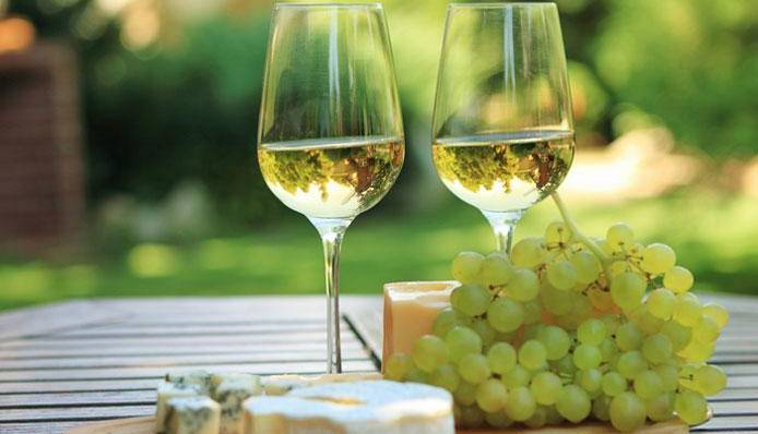 Evento Lezioni di avvicinamento al vino - Donnafugata Piazza del vino