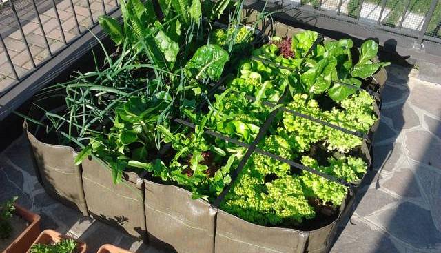 Evento Urban garden design: l'orto in casa Stazione Leopolda