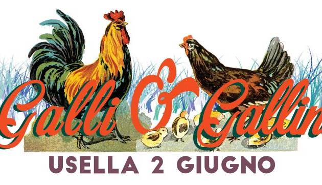Evento Galli e Galline Usella